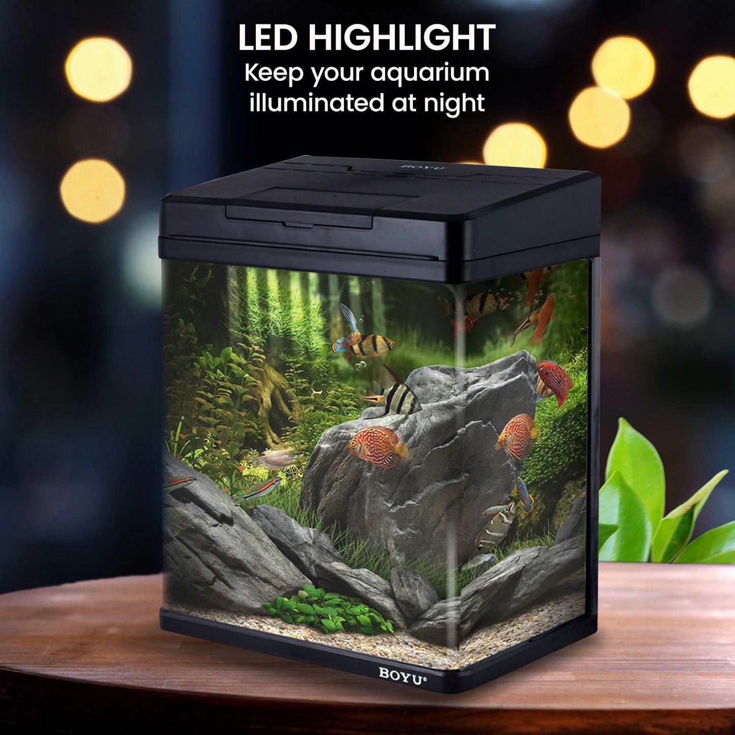 21L Complete Aquarium Kit With Bio Filter System LED Kit Curved Design